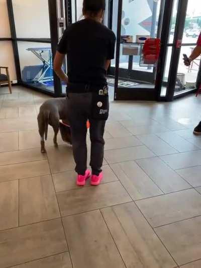 Our patient decided to grab a souvenir during his walk