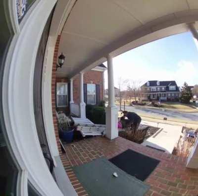 She’s Ready For A Ladder Match