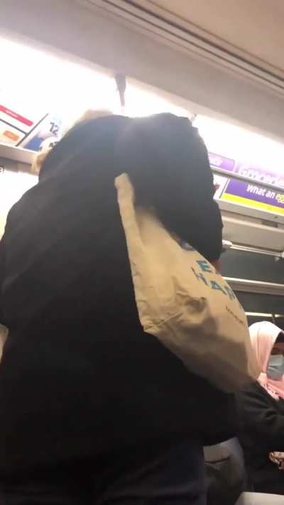 Racist lady having a meltdown in train
