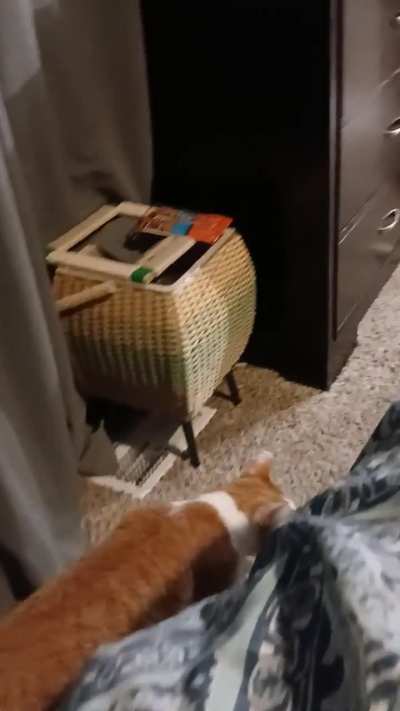 Cosmo's at it again, lol.