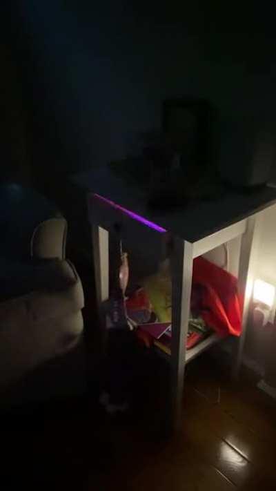 I might be mistaken but I think there&rsquo;s a rave happening in my daughter&rsquo;s nightstand.