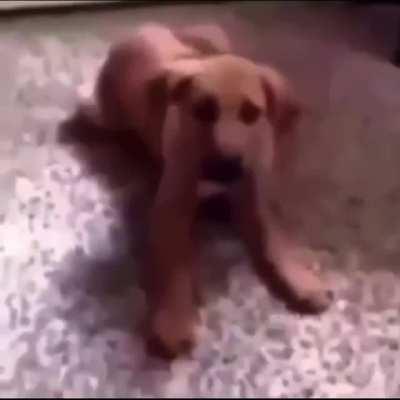 Did he say n-werd? 🙊