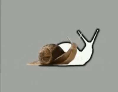 The wait is not worth it