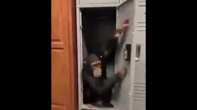 POV: You're the killer and just got hit by head on