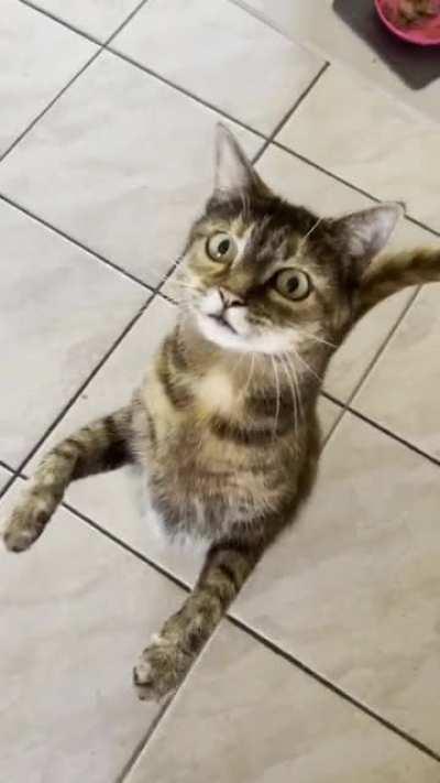 After buying some fresh treats!