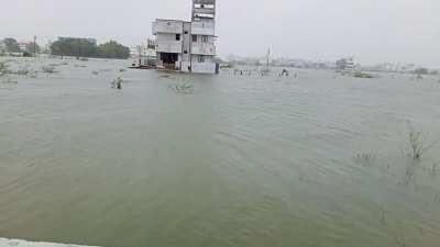 Scenes from my home near Manimangalam, Tambaram