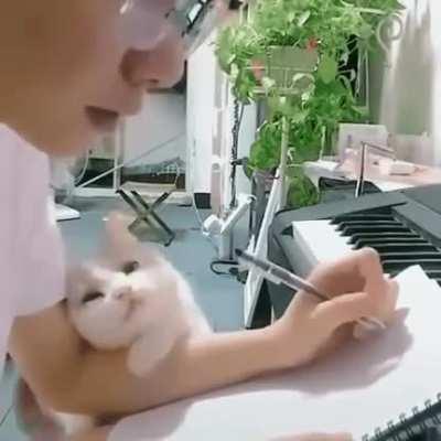 When Daddy has homework and Little wants his attention.