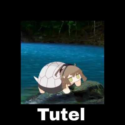 its tutel tuesday my dudes