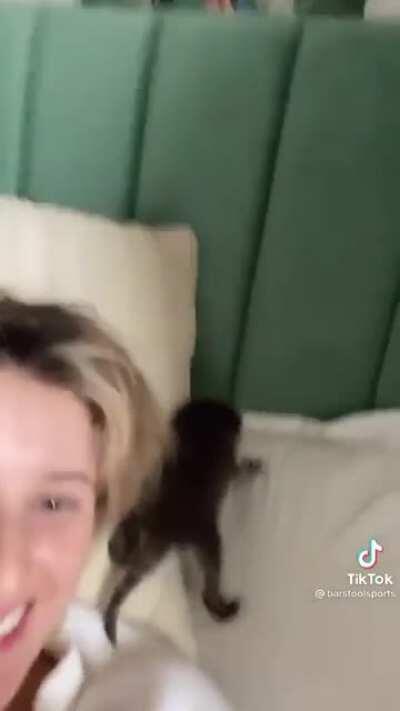 Baby Trash Panda snuck into the room