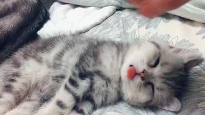 Here, lemme fix it for you