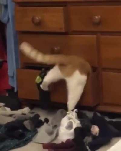 Where is doraemoooooonnnn..