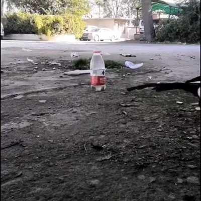 This crow is adding rocks in order to drink the water. Would you have thought to do that?