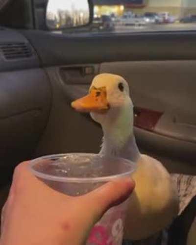 I am thirsty give w cold drink now!