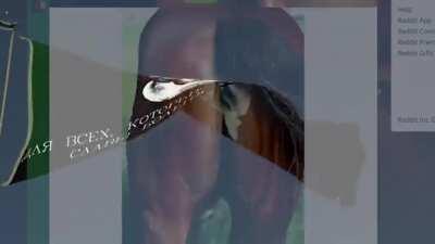 МАТЬ АНАРХИЯ ОБОЖАЕТ БОЛЬШУЮ ФЛОППУ