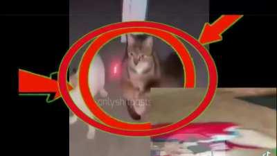 my take on epileptic 21st century humor (mostly epileptic+shitpost-epilepsy thing)