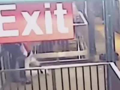 yo chat is this the real notti vs kdot video?