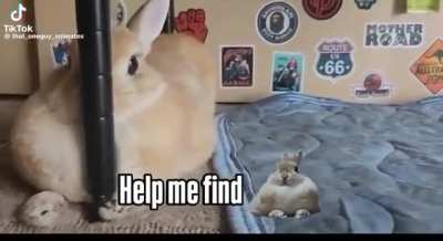 This bunkus is.. wait he was just here??