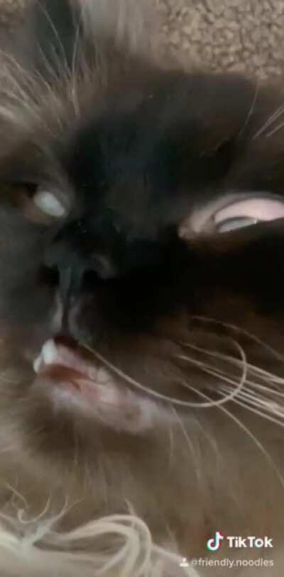 every kiss begins with...