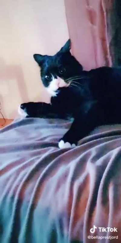 Guess he didnt like that