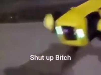 Someone spent thousands of dollar on a racist robot