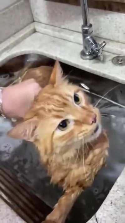 Cuando te maldice en otro idioma, para que no le entiendas