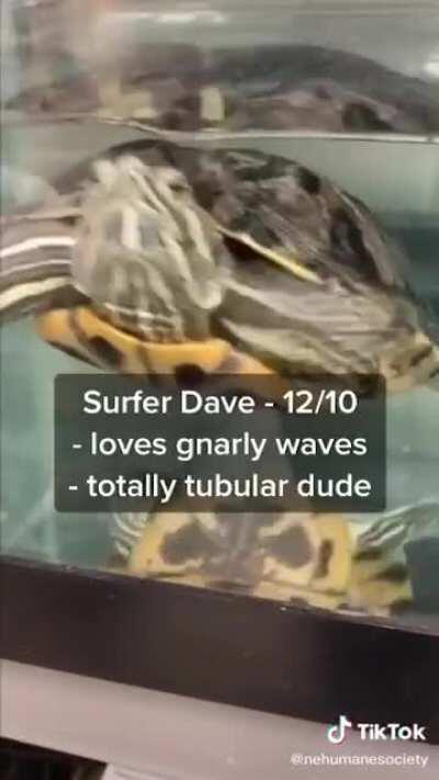 This song is triggering some childhood memories but I can't place it. Genre: flute?