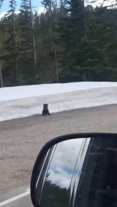 Momma gonna kick your ass