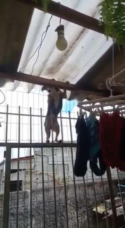 Mr. Gorbachev, tear down this gate