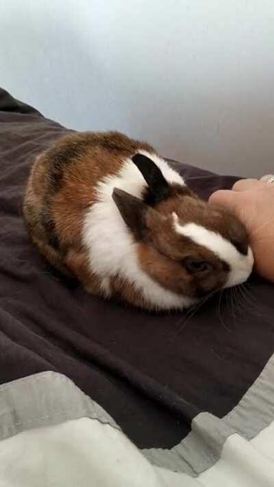 I can do this all day