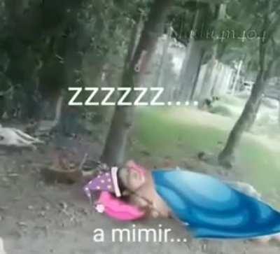 Ah, mimir