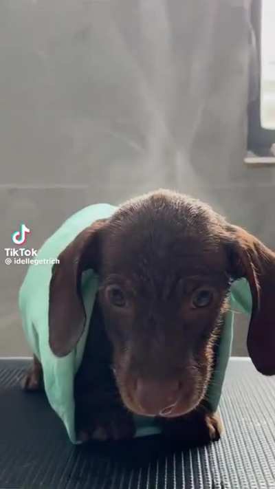 Wunkus Jr is attempting to form his first thought 