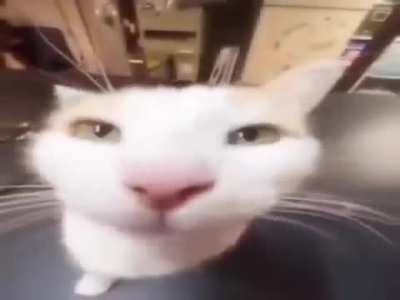 the love ouf my life