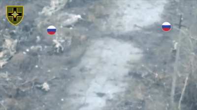 Ukrainian soldier eliminates Russian assault group in close combat - Toretsk direction