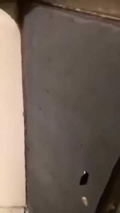 Secret entrance to Teatro Donnafugata, the smallest opera house in Italy. 99 spectators, but with perfect acoustics.