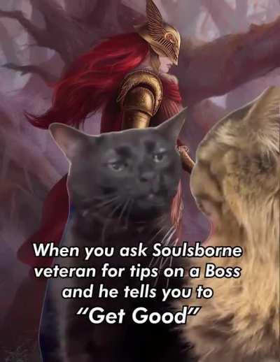 Never ask the soul community for advice (no offense 😭)