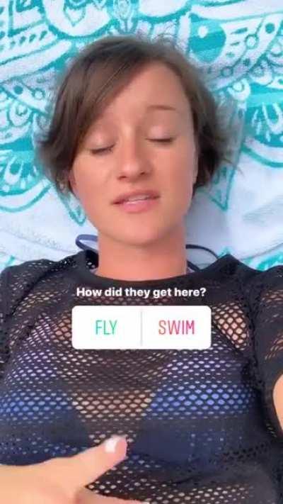 Hear Jenna question, how did cocks (um chickens) get on the island.