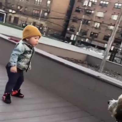 14 months old kid seeing a dog for the first time