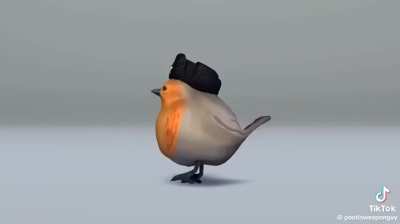 Pootis birb