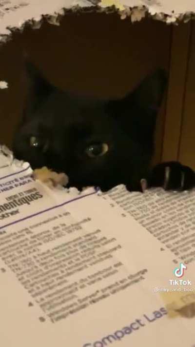 New hole puncher only knows how to make big holes.