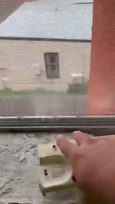 Guy finds cockroaches in landline