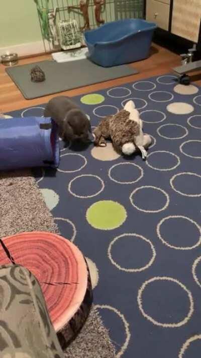 Gary, “sending you a ‘Daylight Savings’ reminder. It’s an hour later than you might think!”