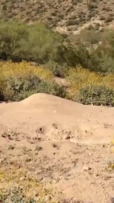 LDS missionary sends it (sound)