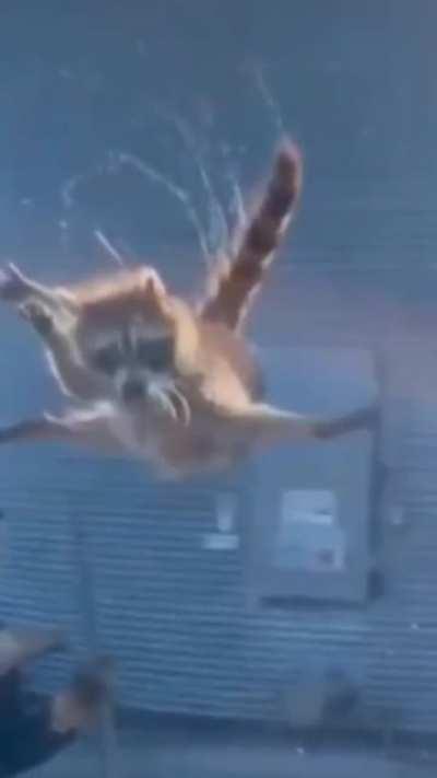 Когда в душе ты вертолёт