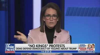Jessica Tarlov leaves her Fox News co-hosts speechless as she drops a list of issues Americans are protesting Trump for on No Kings Day.
