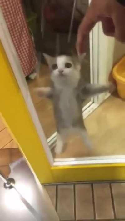 To be this excited...about anything