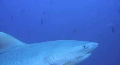 The exact moment that 