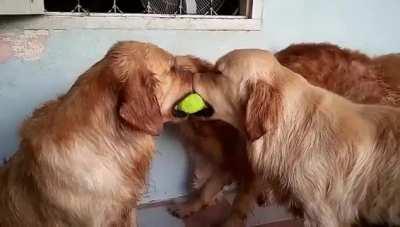 “I don’t want the ball, I just want to feel included