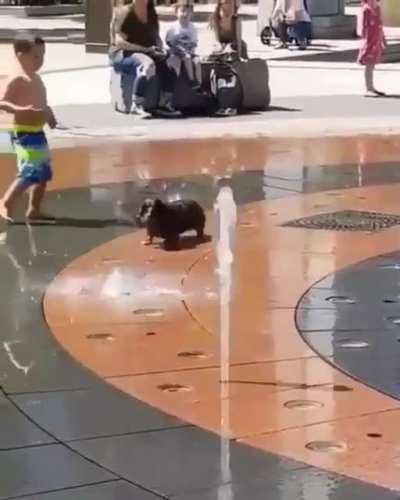 That little jump😀