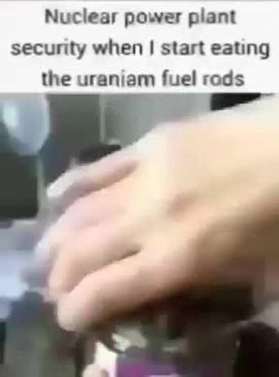 cat of the day 174 pls upload this time