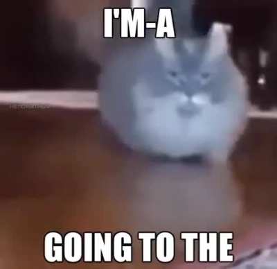 Why do cars love the hardware store? Are they based?